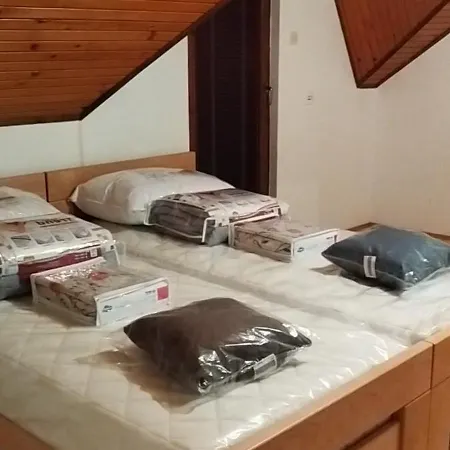 Prenociste Rubin * Rudo